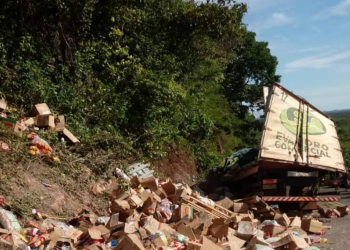 Caminhão tomba em curva após condutor perder controle no Norte do Piauí